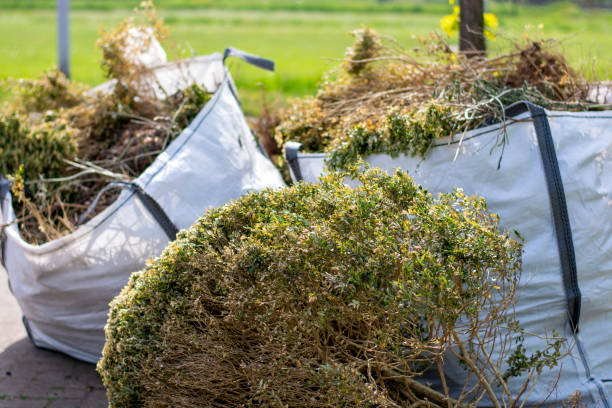 Best Local Junk Hauling  in Shorewood Forest, IN